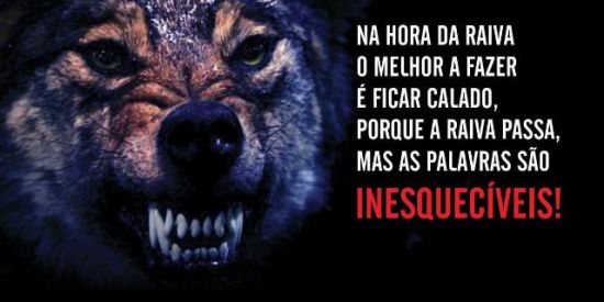 Imagem do grupo de WhatsApp Raiva