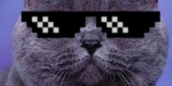 Imagem do grupo de WhatsApp ALEATÓRIOS 🤪🌜