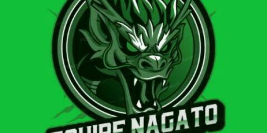 Imagem do grupo de WhatsApp 👾Recrutamento KAUZIN👾