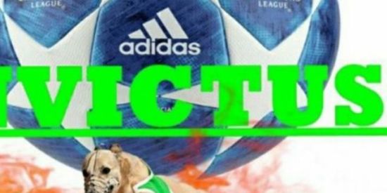 Imagem do grupo de WhatsApp INVICTUS 365 SINAIS FREE⛳