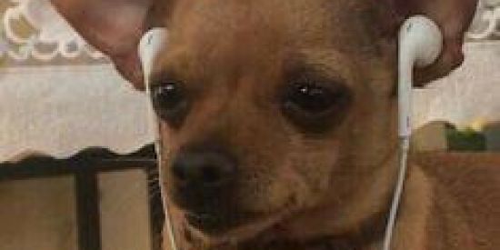 Imagem do grupo de WhatsApp FIGURINHA