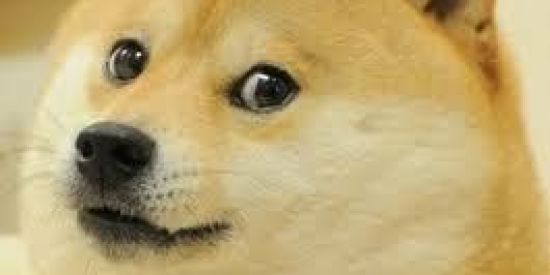 Imagem do grupo de WhatsApp 🅕🅘🅖🅤🅡🅘🅝🅗🅐🅢