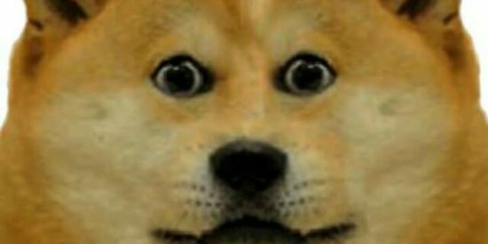 Imagem do grupo de WhatsApp Nosso grupo :)