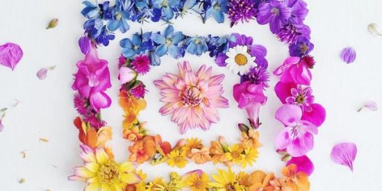 Imagem do grupo de WhatsApp Crescer no Instagram 📍