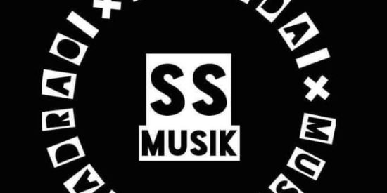 Imagem do grupo de WhatsApp Fãs da S"S-Music🎧👈