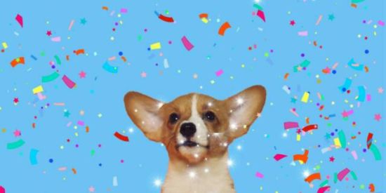 Imagem do grupo de WhatsApp Equipe do fer🐕‍🦺🐕‍🦺