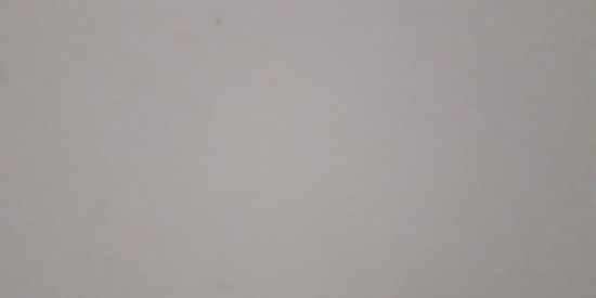 Imagem do grupo de WhatsApp Todo mundo junto