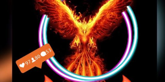 Imagem do grupo de WhatsApp 🔥FOLLOW FIRE🔥 OFC