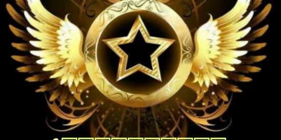 Imagem do grupo de WhatsApp _projectfollowback