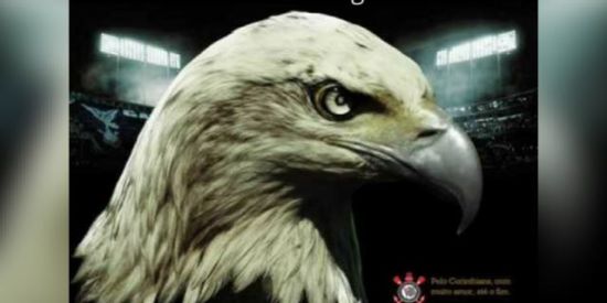 Imagem do grupo de WhatsApp 🦅GAVIÕES DIVULGAÇÕES 1🦅