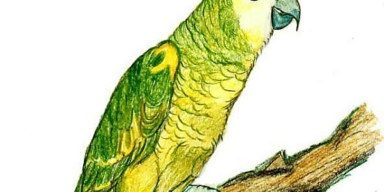 Imagem do grupo de WhatsApp Tudo liberado