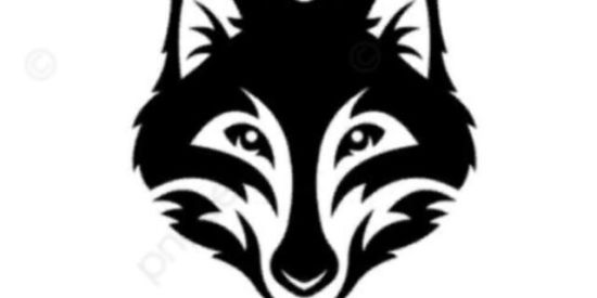 Imagem do grupo de WhatsApp Mentoria Lobo 🐺🚀