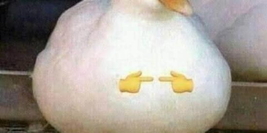 Imagem do grupo de WhatsApp Cuscuz queimado