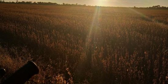 Imagem do grupo de WhatsApp Caçador do Maranhão