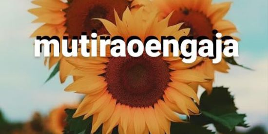 Imagem do grupo de WhatsApp Mutirão Engaja🌻