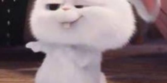 Imagem do grupo de WhatsApp Seguidores no instagram👑