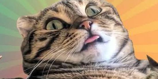 Imagem do grupo de WhatsApp Só Figurinhas ☑️