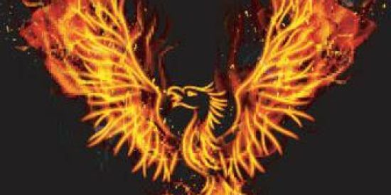 Imagem do grupo de WhatsApp 🤡 FÊNIX V11🤡