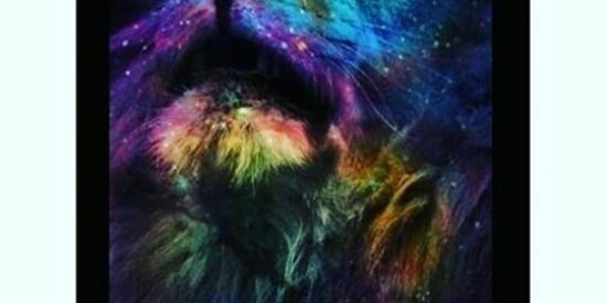 Imagem do grupo de WhatsApp Mutirão