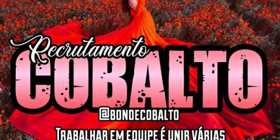 Imagem do grupo de WhatsApp 🦊🧝🏻‍♀️Rεcɾμƭαɱεɳƭσ cɓร 🧝🏻‍♀️🦊