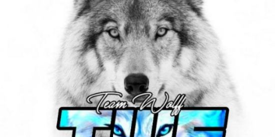 Imagem do grupo de WhatsApp 🔮Recrutamento 21✧тωf✧