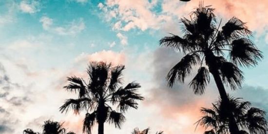 Imagem do grupo de WhatsApp Elsblack calçados 👟