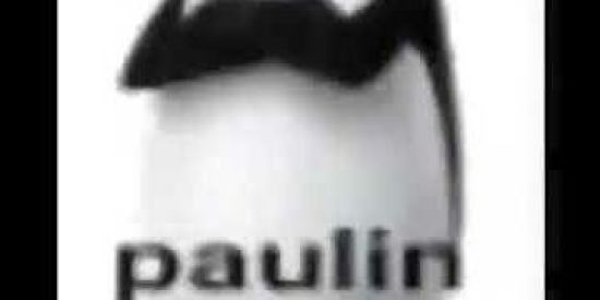 Imagem do grupo de WhatsApp Paulin bacana