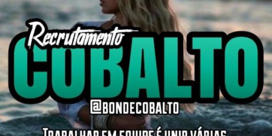 Imagem do grupo de WhatsApp 🦊Recrutamento Cobalto🦊