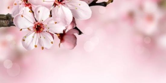 Imagem do grupo de WhatsApp UM GRUPO DO BEM:)