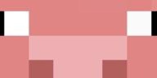 Imagem do grupo de WhatsApp Apenas meme