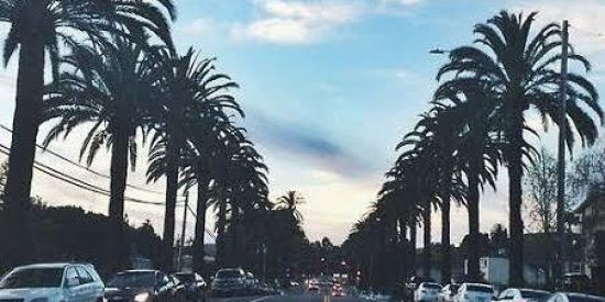 Imagem do grupo de WhatsApp Followers