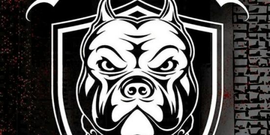 Imagem do grupo de WhatsApp ғᴏɢᴏ ɴᴀ ʙᴀʙɪʟᴏ̂ɴɪᴀ