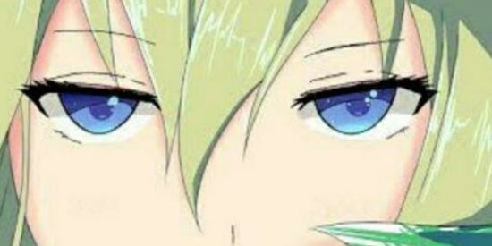 Imagem do grupo de WhatsApp Elfos BR 2.0