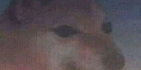 Imagem do grupo de WhatsApp PΔŘŦIĐØ ĐΔ ŽỮ€ŘΔ (ᴍᴀsᴛᴇʀ)