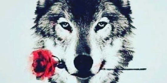 Imagem do grupo de WhatsApp | ¹²✧тωf✧ SEGUIDORES REAIS