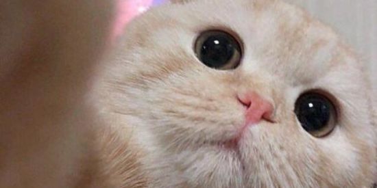 Imagem do grupo de WhatsApp Ⓔⓓⓤ ⓣⓔ 🇲ⓐⓣⓞⓤ