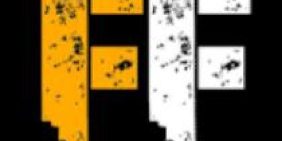 Imagem do grupo de WhatsApp Divulgação