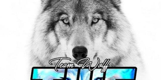 Imagem do grupo de WhatsApp 🐺💫TEAM WOLFF💫🐺