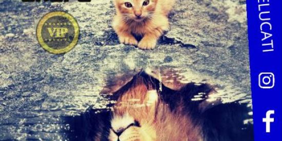 Imagem do grupo de WhatsApp Dominando tudo 🚀👑🤩🤑🦁