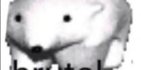 Imagem do grupo de WhatsApp Brutalmente BR 🇧🇷🐻