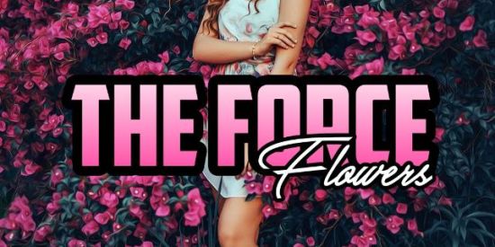 Imagem do grupo de WhatsApp ♛•ͲҒ'ร•♛|•| Fʟᴏᴡᴇʀs 🌺