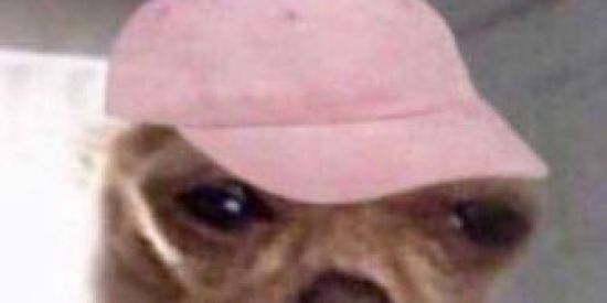 Imagem do grupo de WhatsApp 👽🤡POINT DAS FIGURINHAS🤖😼