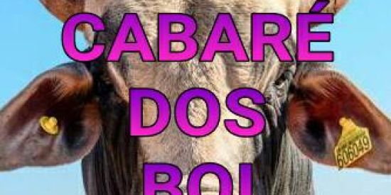 Imagem do grupo de WhatsApp Cabaré dos bois