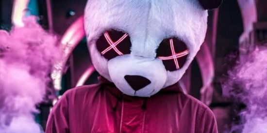 Imagem do grupo de WhatsApp 🌿vídeos, músicas e figurinhas 😊