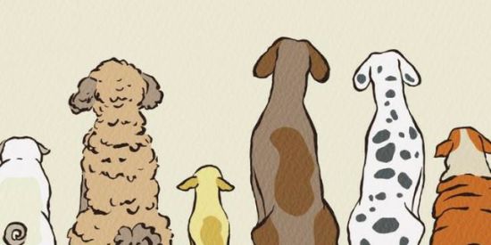 Imagem do grupo de WhatsApp Desenhistas de plantão