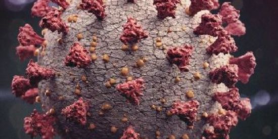 Imagem do grupo de WhatsApp Central quarenta😷