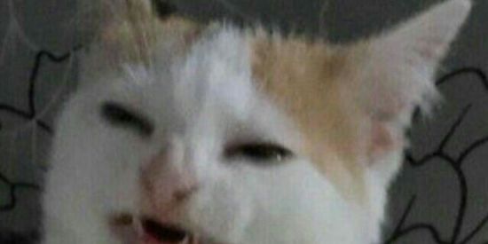 Imagem do grupo de WhatsApp Bar do moe