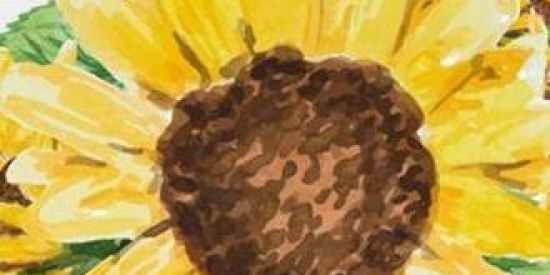 Imagem do grupo de WhatsApp Recrutamento/ Girassol