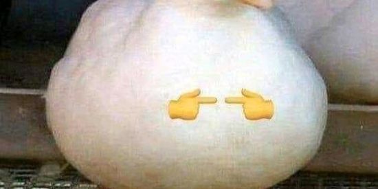 Imagem do grupo de WhatsApp Infinyty zuera