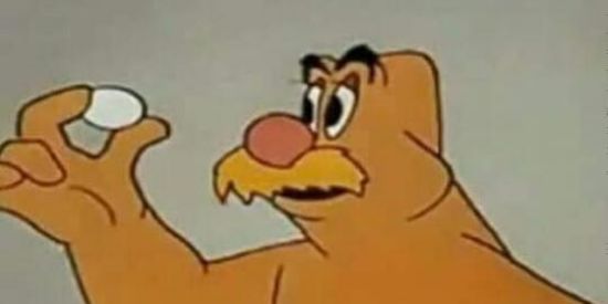 Imagem do grupo de WhatsApp Bolinha D Gorfe